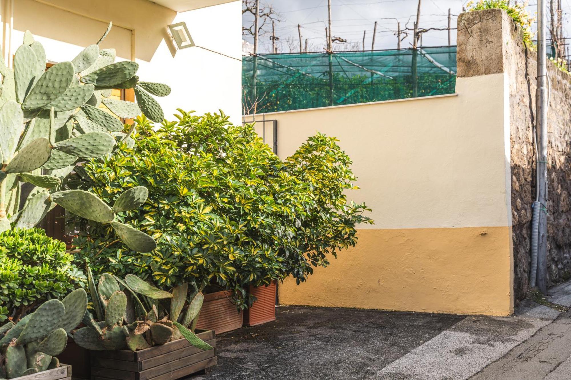 Sorrento Central Flat Экстерьер фото